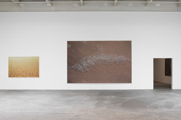 Wolfgang Tillmans: How likely is it that only I am right in this matter?, installation view