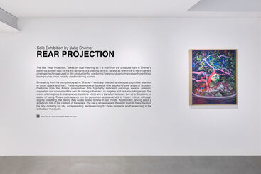 Rear Projection by Jake Sheiner, installation view