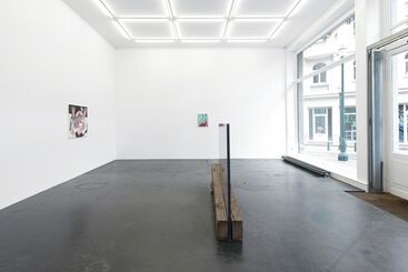 Above the treeline: Virginia Overon, Jon Pestoni, Rezi Van Lankveld, Ambera Wellmann, installation view