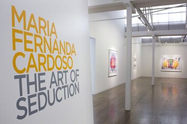 The Art of Seduction, installation view