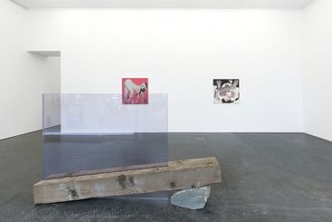 Above the treeline: Virginia Overon, Jon Pestoni, Rezi Van Lankveld, Ambera Wellmann, installation view