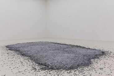 The Ashes of Snow, installation view