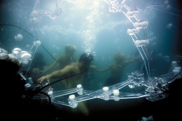 Jun Nguyen-Hatsushiba, ‘Memorial Project Minamata: Neither Either nor Neither-A Love Story’, 2002-2003