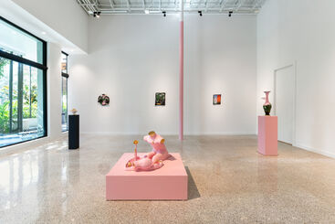 Alex Anderson: The Gazing Pool, installation view