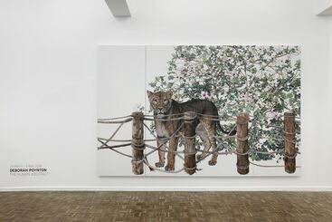 Deborah Poynton - The Human Abstract, installation view