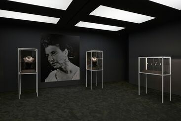 Alexander Calder: Calder Jewelry, installation view