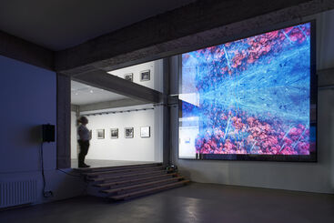 Richard Mosse | Broken Spectre, installation view