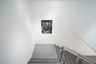 Down in the rabbit hole, installation view