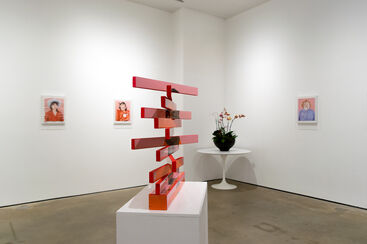 The Constructed Self, installation view