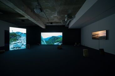 Mai Yamashita + Naoto Kobayashi | Nature Observation, installation view