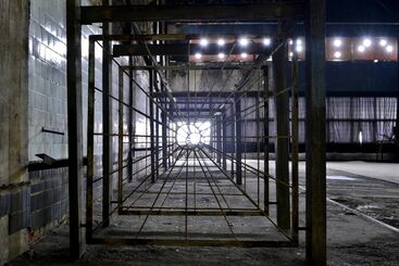 Elise Florenty & Marcel Türkowsky, ‘The Descendants of the Sun II’, 2013