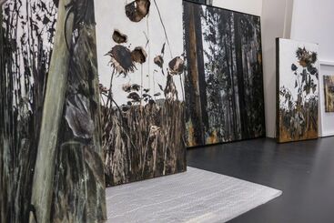 Jens Rausch: Experimentierfeld, installation view