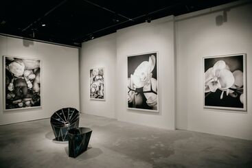 Black & White, installation view