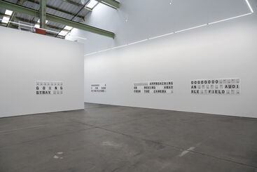 Shannon Ebner | WET WORDS IN A HOT FIELD, installation view