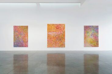 Damien Hirst: The Veil Paintings, installation view