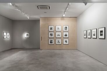Marcelo Guarnieri at SP-Arte 2016, installation view