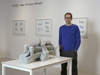 POISE: Peter Christian Johnson, installation view