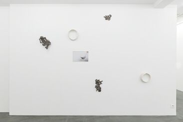 Katinka Bock, 'T-Toxic', installation view