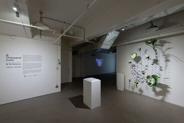 A Thousand Cuts, installation view