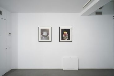 Down in the rabbit hole, installation view