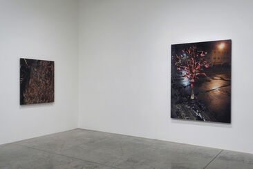 Tony Berlant: Close to Home, installation view