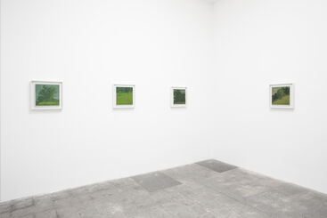 Will Gabaldón : This must be the place, installation view