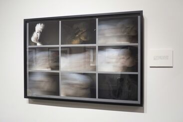 Olivia Parker: Vanishing in Plain Sight, installation view