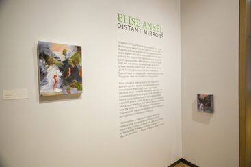 Elise Ansel: Distant Mirrors, installation view