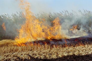 Alan Eglinton, ‘Sans titre, Arles, France’, 2018