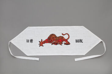 AOYAMA Satoru + KANEKO Tomiyuki, ‘Tiger Belt (for the third wave)’, 2020