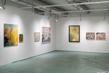Collapse of a Mass, installation view