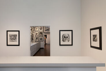 Steven Arnold: Theophanies, installation view