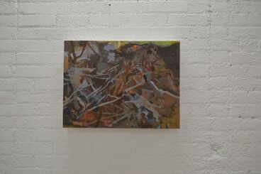 Rebecca Allan: Debris Fields, installation view