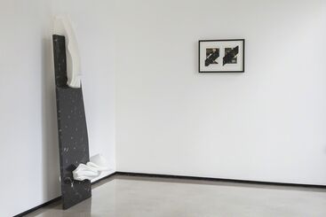 In Place of a Trophy, installation view