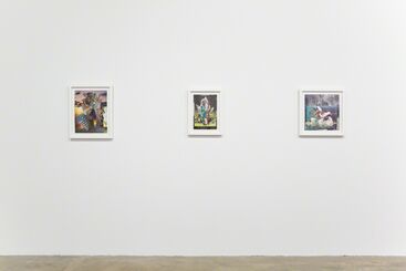 Michael Robinson: Mad Ladders, installation view