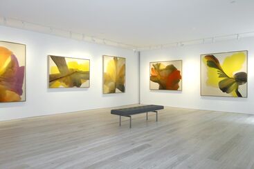 Irene Monat Stern, installation view
