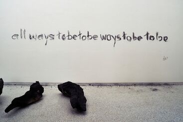 herman de vries, ‘burned III (Installation view)’, 2015