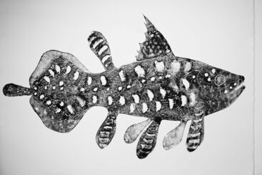 Stuart MacKenzie, ‘Species Morphology / Coelacanth Evolution 1’, 2022