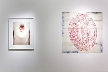 The Circle Divine, installation view