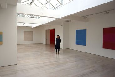 Yuko Shiraishi 'Floworld', installation view