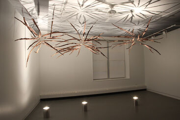 Michele Brody, ‘Ghost Palms’, 2019