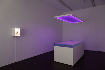Ad Ultra, installation view