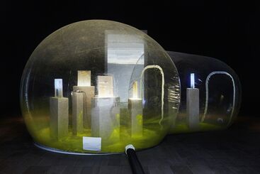 Anicka Yi, ‘Le Pain Symbiotique’, 2014