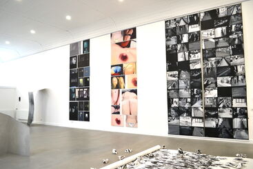 Breasts, installation view