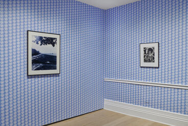 On Hannah Arendt: The Modern Age, installation view