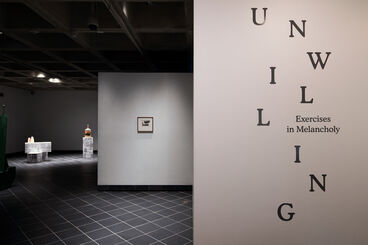 Unwilling: Exercises in Melancholy, installation view