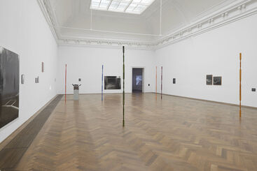 Joanna Piotrowska: "Stable Vices", installation view