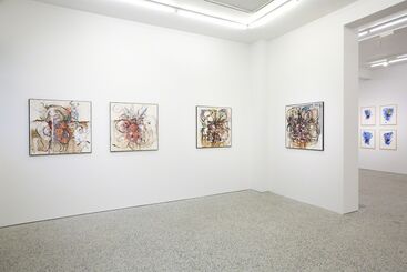 Björn Roth: Nervettis 2009-2018, installation view