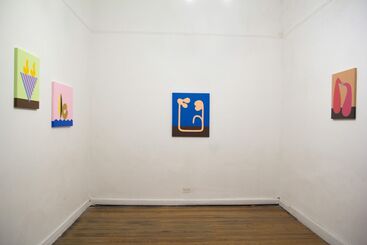 What will come, installation view