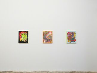 Just The Tip, installation view